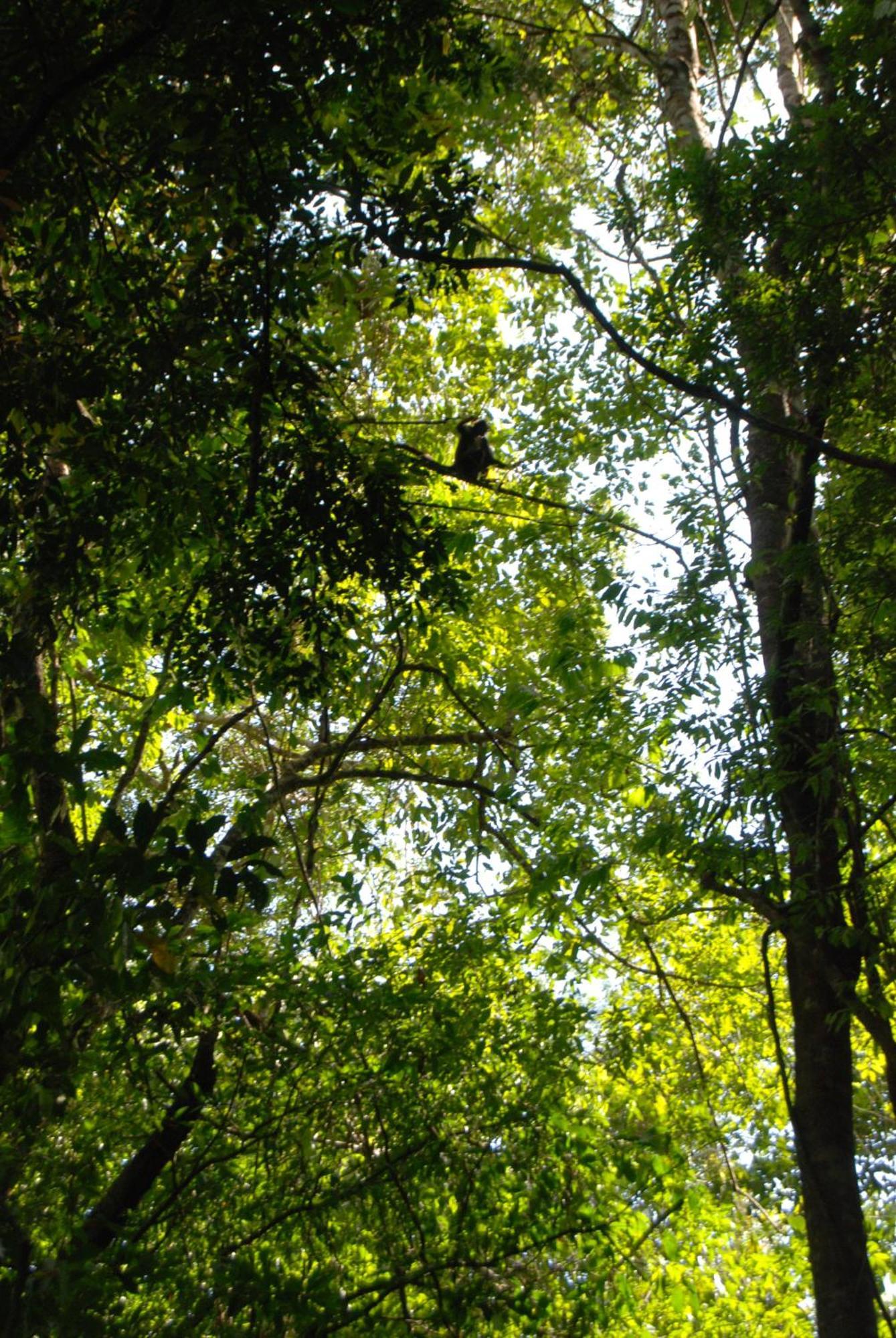 Finca Vallescondido Эль-Каобано Экстерьер фото