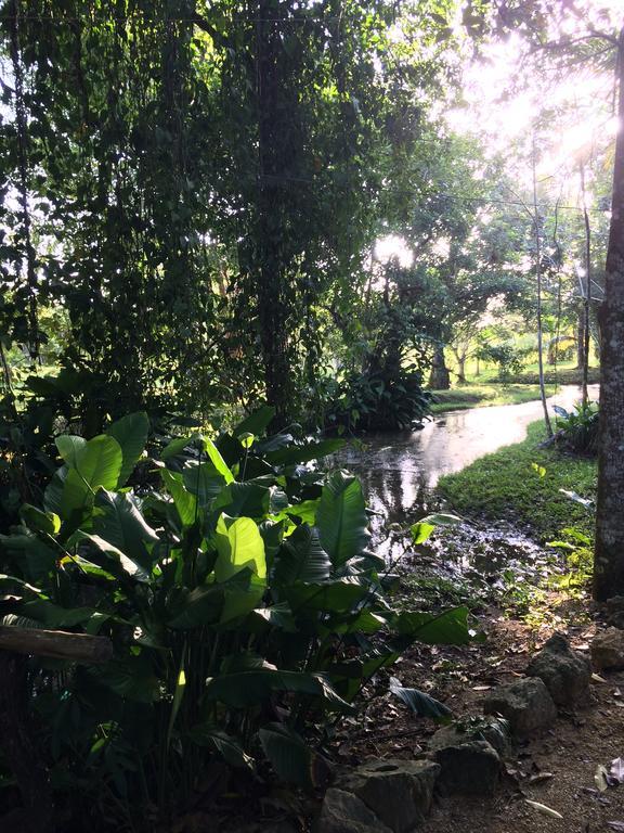 Finca Vallescondido Эль-Каобано Экстерьер фото